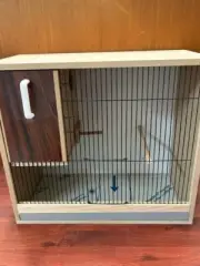 Bird Lorikeet Conure Cockatiel Sm parrot Breeding Cabinet w breeding nesting box