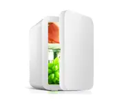 Car portable mini refrigerator Cosmetics refrigeration refrigerator - WHITE