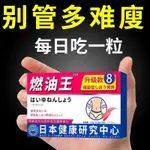 【現貨台灣出貨】【正品保證】【日本燃油王】西梅益生元荷葉 苦瓜酵素片拒絕熱量 健康不反彈 體重管理抖音小紅書熱賣