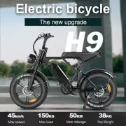 Electric Bicycle Ebike Hydraulic Brake 48V 15Ah750W E-Mountain 20 "Fat Tire