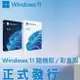 Microsoft 微軟 Windows 11 專業 PRO/家用 HOME 作業系統 (彩盒裝/隨機版) WIN 11