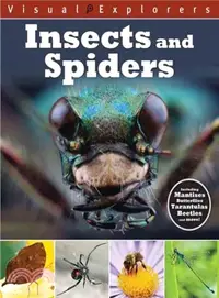 在飛比找三民網路書店優惠-Insects and Spiders