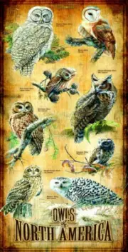 SunsOut Owls of North America 500 Piece Jigsaw Puzzle By Susan Bourdett