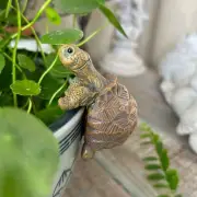 Tortoise Plant Pot Hanger Hanging Turtle Statue for Fish Tank Backyard