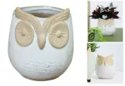 Tawny Owl Ceramic White Planter Pot Home Garden Plant Vase Bird Decor