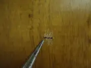 Griffith's Gnat Size 18
