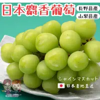 在飛比找蝦皮購物優惠-【JDFruit緁迪水果】日本嚴選-日本香印麝香葡萄禮盒 山