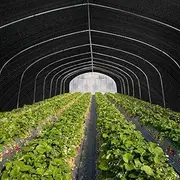 ZUNI 50% Sunblock Shade Cloth 1.83 x 30M Sunshade Sail, UV Protection Fade Tear and Rust Resistant, Heavy Duty Sun Shade for Plant Cover Patio Canopy Garden Pergola Greenhouse Car Barn Kennel, Black