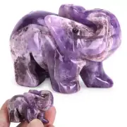 Natural Dream Amethyst Quartz Crystal Baby Elephant Carved Rock Healing Gemstone