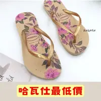 在飛比找momo購物網優惠-【havaianas 哈瓦仕最優惠】2022 SLIM OR