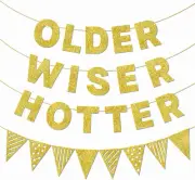 Glitter Older Wiser Hotter Birthday Banner Adult Party Decorations Older Wiser H