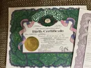 CABBAGE PATCH COLLECTORS CLUB EXCLUSIVE EDITION 12-6-01