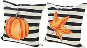 BUTIFULSIC 2pcs Pumpkin Pillow Thanksgiving Pillow Covers Thanksgiving Cushion Covers Square Pillows Couch Pillows Covers Decorative Cover Pillowcase Thanksgiving Covers Fall Decor Polyester