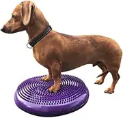 DEZAL Pet Balance Disc Cushion 14" -35cm - Exercise Strength Endurance Conditioning Fitness Flexibility Neural Stimulation Rehabilitation Physical Training Tool for Senior Dogs - with Pump