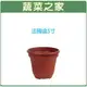 【蔬菜之家005-D118】法國盆5寸 園藝 園藝用品 園藝資材 園藝工具 園藝造景 園藝盆栽 園藝裝飾