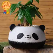 Small Panda Bear Plant Pots, Resin Succulent Pots with Drainage, Home Decor