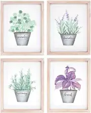 Set of 4 Green and Purple Watercolor Herb Rectangular Framed Wall Arts 8" x 6.5"