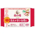 「現貨」日本小林製藥命之母漢方貼式暖暖包10入