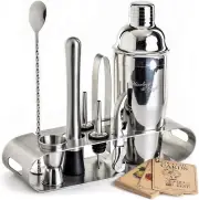 Mixology Bartender Kit: 9-Piece Bar Set Cocktail Shaker Set with Elegant Metal S