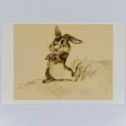 Bambi Postcard Thumper Disney Studio Artist Concept Bunny Rabbit Animal Pencil