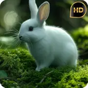 Animal TV Sleep Tones for Fire TV