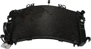 Engine Radiator Fit for Suzuki GSX1300BK B-King 2008 2009 2010 2011 2012 17710-23H00-000 Cooling Radiator Water Cooler Radiator Grille