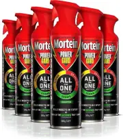 Powergard All in One Insect Killer Spray Eucalyptus 300G (Pack of 6)