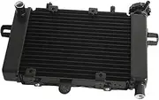 Radiator Grille Fit For LONCIN VOGE LX250GS-3 250RR 250rr Motorcycle Accessories Locomotive Radiator Engine Parts Water Cooler Engine Radiator