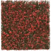 20"x20" Artificial Faux Red Buxus Leaf Privacy Fence Screen Decor Panel Hedge