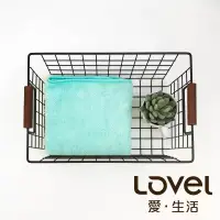 在飛比找博客來優惠-Lovel 3M頂極輕柔棉超細纖維抗菌毛巾貝殼綠