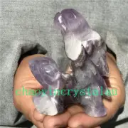0.3LB Natural Dreamy Amethyst parrot Skull Quartz Crystal Carved Reiki XK1415