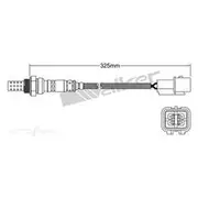 PAT Oxygen/Lambda Sensor Post Catalytic Converter - EGO-649