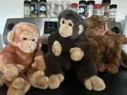Ty Beanie Buddy Monkeys Set Of 3