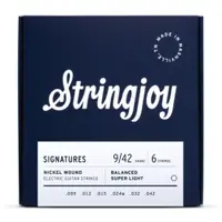 在飛比找蝦皮商城優惠-StringJoy Signatures 09-42 鎳纏繞