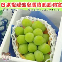 在飛比找樂天市場購物網優惠-【緁迪水果JDFruit】日本長野/山梨縣溫室麝香葡萄(1房