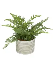 Peyton Lane Fern Green Faux Foliage Indoor Outdoor Artificial Plant with Realistic Leaves and Patterned Round Pot