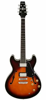 Aria TA-CLASSIC Semi-Hollow Electric Guitar in Brown Sunburst Gloss