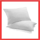 Royal Comfort Goose Feather Down Pillows 1000GSM Hotel Quality 2 Pack