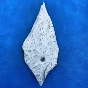188.9gm Aletai iron meteorite slab SIZE:140*60mm LX070