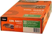 Paslode B40022 Hot Dipped Galvanised Ring Coil Nails Pack of 2400 Pieces, 2.5 mm x 50 mm Size