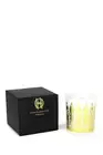 Rare House of Harlow 1960 Winter Kate Peacock Jasmine Tea White Gold Candle