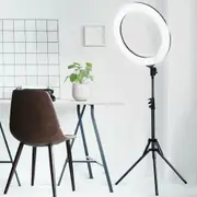 Vokwell 19" 5500K Dimmable Diva LED Ring Light Diffuser With Stand Make Up Studio Video