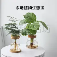 在飛比找蝦皮購物優惠-【現貨】水培生態瓶/花瓶/玻璃花瓶/玻璃瓶/水耕瓶/水耕玻璃