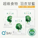 【THE KALE】只選用100%天然原食材 羽衣甘藍粉青汁X3盒組(共90包)