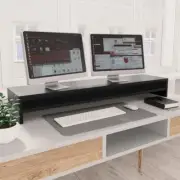 Dual Monitor Riser Computer Screen Stand With Shelf Modern Desk Organizer