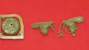 Warhammer Grandfather's Gardeners Plague Fly Squort Underworlds Nurgle AoS BNOS
