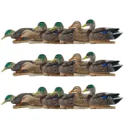 Avian X Topflight Early Season Mallard Duck Realistic Decoy, 18 Pack, Multicolor