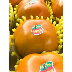 (限量)甜柿 柿子 柿 富有甜柿 高山甜柿 日本種甜柿 甜柿禮盒 套袋甜柿 高海拔甜柿  高級甜柿 台中甜柿
