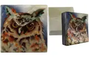 Capiz Shell Trinket Box, 3", Owl