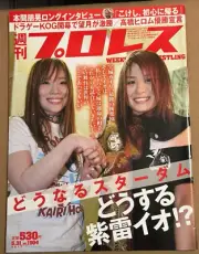 Io Shirai Kairi Hojo Sane 5/31/2017 Weekly Pro Wrestling #1904 Bray Wyatt WWE